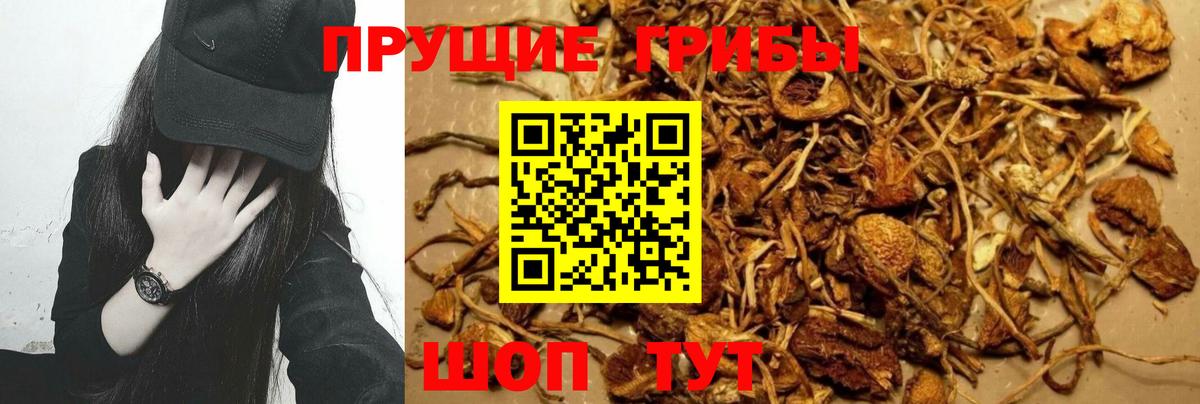 Псилоцибиновые грибы Cubensis Учалы